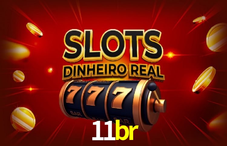 Sistemas de Segurança 11br